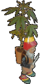 Avatar du membre