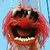 Avatar de l’utilisateur
