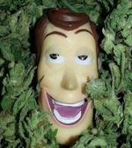 Avatar de l’utilisateur