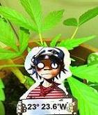 Avatar de l’utilisateur